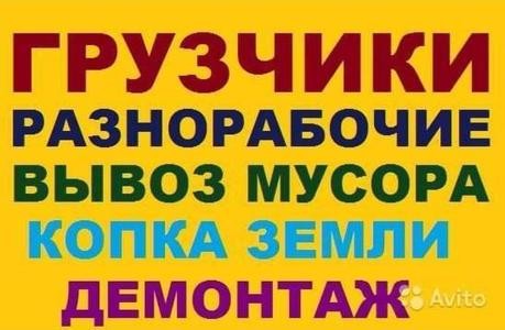 Вывоз мусора, подъем материала, грузчик, грузоперевозки Одесса - изображение 1