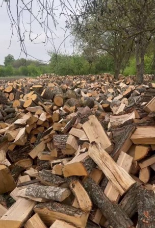 Продам дрова в Демидівка та Рівненській області - изображение 1