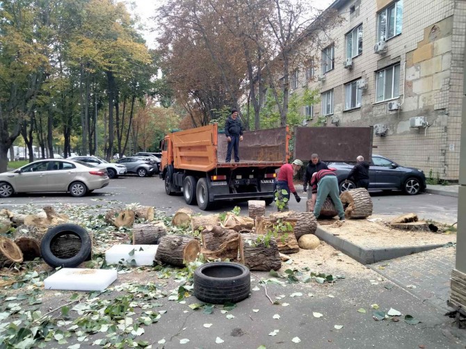 Выполним услуги уборки территорий, уборка участка, спил Одеса - изображение 1