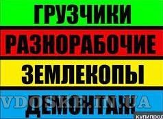 Переезд грузчики разнорабочие грузовые перевозки без выходных Одесса - изображение 1