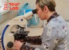 Медична лабораторія Your Lab в центрі міста Харків