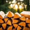Дрова рубані твердих та мішаних порід у Млинів
