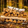 Доставка дров додому Луцьк – тепло без зайвих турбот!