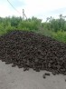 Купити торфобрикет у Луцьку недорого