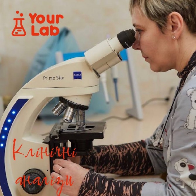 Комплексне тестування на 7 інфекцій в Your Lab. - изображение 1