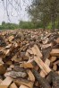 Продам дрова в Демидівка та Рівненській області