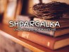 Введение дипломной работы на заказ в Украине