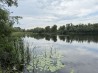 Продам дві ділянки у лісі з виходом до р.Орель, Царичанський район.