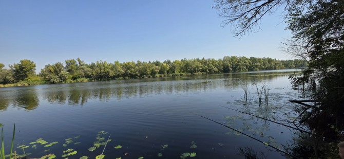 Продам дві ділянки у лісі з виходом до р.Орель, Царичанський район. - изображение 1