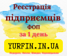 Реєстрація фізичної особи-підприємця (ФОП, СПД, ПП) – швидко та надійн