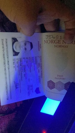 license, drivers license, ID cards, Social cards, visas, - изображение 1