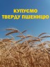 Купуємо ТВЕРДУ пшеницю