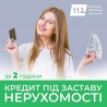 Гроші під заставу нерухомості у Києві у день звернення.
