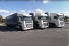 DAF + Mega — водій C+E | Польща → Франція, Іспанія, Португалія